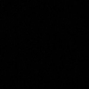 Meet your Posher, Roger